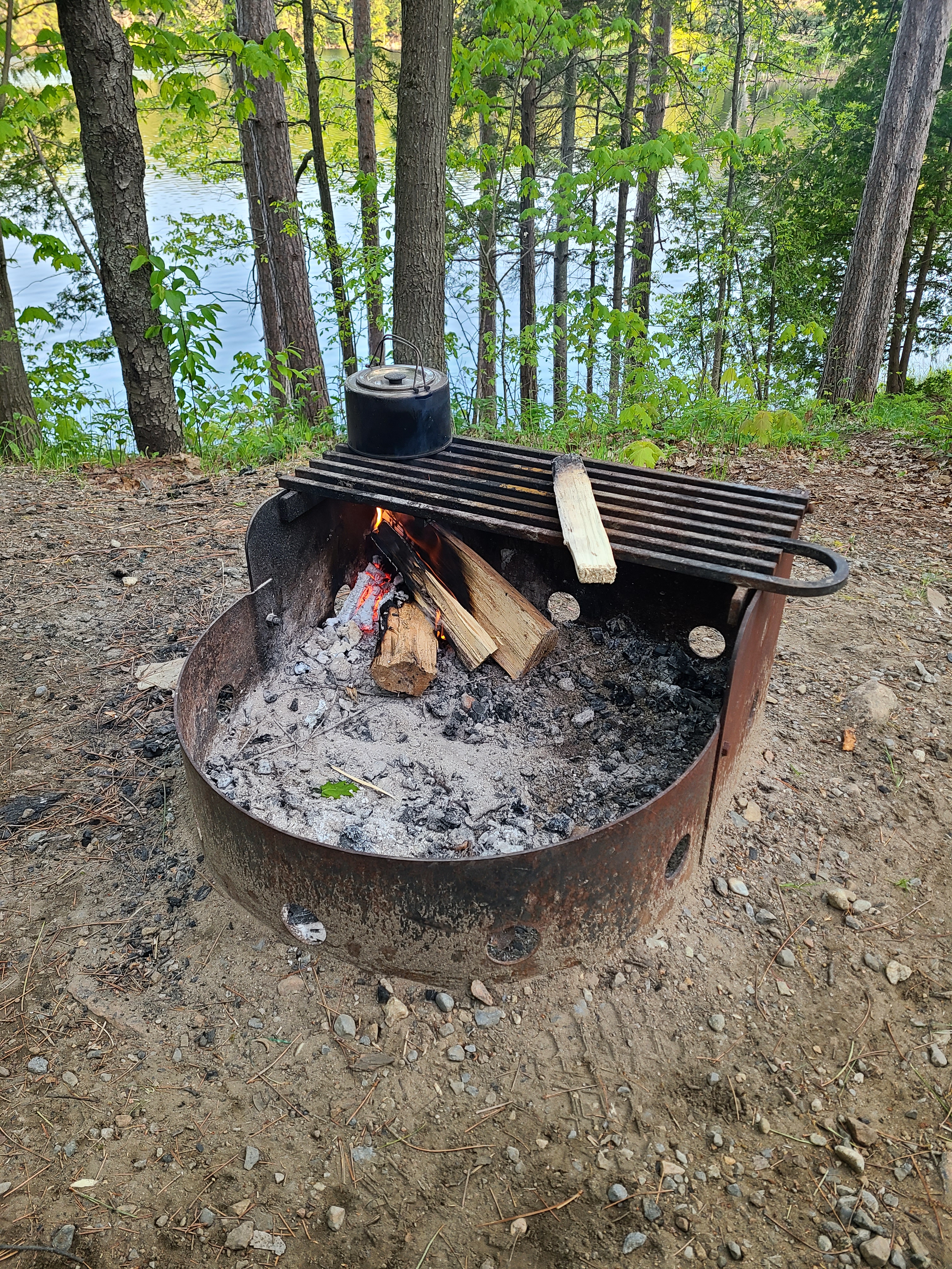 Doing a media detox. Doing a media detox.